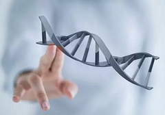 小細(xì)胞肺癌需要做基因檢測(cè)嗎？