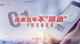 未來(lái)五年，不“摸魚(yú)”