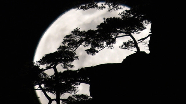 太驚艷！明月奇松 夢(mèng)幻同框
