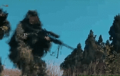 突入，擊斃！直擊武警特戰(zhàn)反劫持演練！