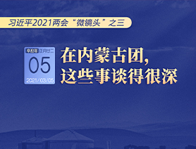 習(xí)近平2021兩會“微鏡頭”之三 3月5日 在內(nèi)蒙古團(tuán)，這些事談得很深