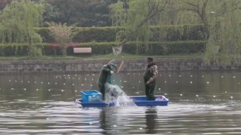 別人家的學(xué)校！安師大請(qǐng)師生吃一萬(wàn)斤魚