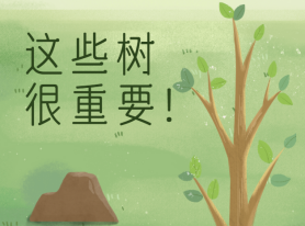 這些樹(shù)很重要！