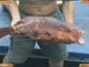 [新聞1+1] 走，南沙捕魚去！