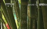 “五一”去哪？：快樂出行 文明旅游