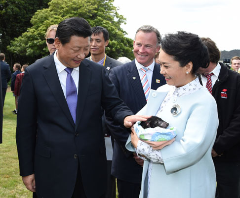 11月18日，國(guó)家主席習(xí)近平在澳大利亞塔斯馬尼亞州與朗塞斯頓市斯科奇－歐克伯恩小學(xué)的小學(xué)生共同植樹(shù)。這是習(xí)近平和夫人彭麗媛植樹(shù)后撫摸袋獾。新華社記者 馬占成 攝