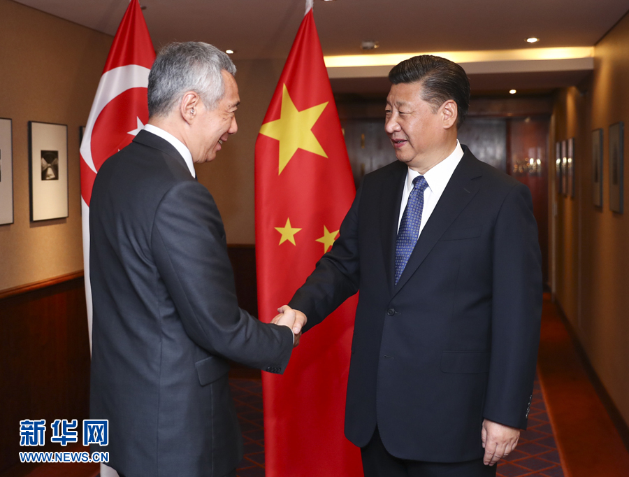 7月6日，國(guó)家主席習(xí)近平在漢堡會(huì)見(jiàn)新加坡總理李顯龍。 新華社記者謝環(huán)馳 攝