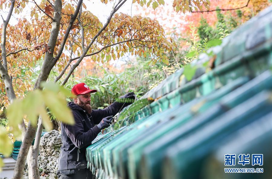 (國際·圖文互動)(1)通訊:守護(hù)魯爾河畔中國園林的德國志愿者